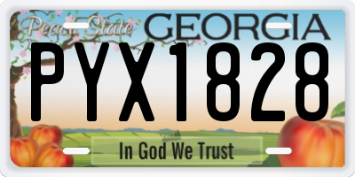 GA license plate PYX1828