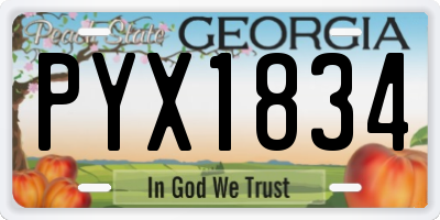GA license plate PYX1834
