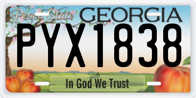 GA license plate PYX1838