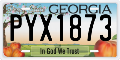 GA license plate PYX1873
