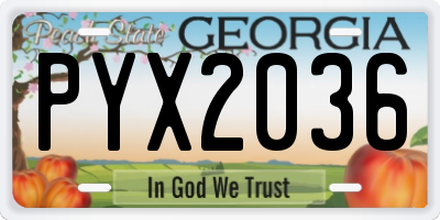 GA license plate PYX2036