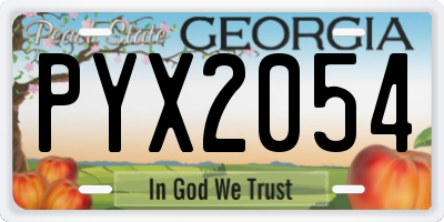 GA license plate PYX2054