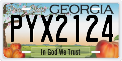 GA license plate PYX2124