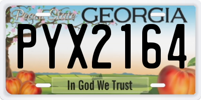 GA license plate PYX2164