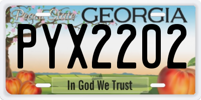 GA license plate PYX2202