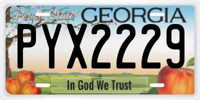 GA license plate PYX2229