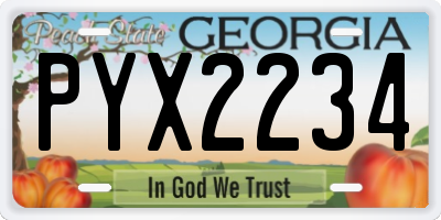 GA license plate PYX2234
