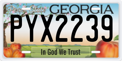 GA license plate PYX2239