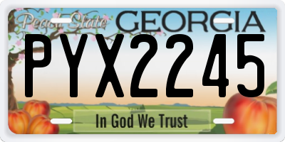 GA license plate PYX2245
