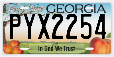 GA license plate PYX2254