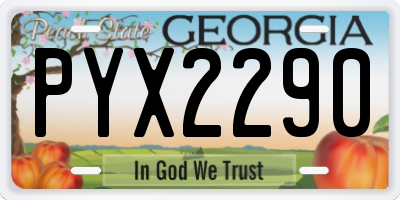 GA license plate PYX2290