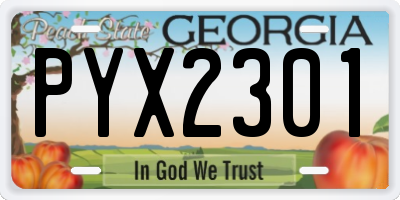 GA license plate PYX2301