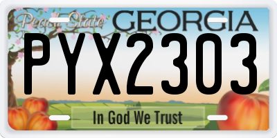 GA license plate PYX2303