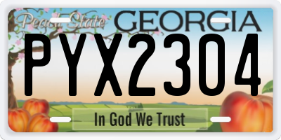GA license plate PYX2304