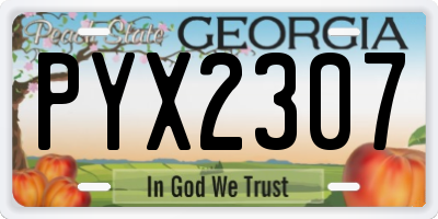 GA license plate PYX2307