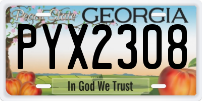 GA license plate PYX2308