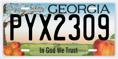 GA license plate PYX2309