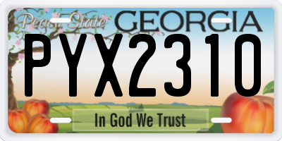 GA license plate PYX2310
