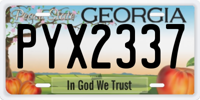 GA license plate PYX2337