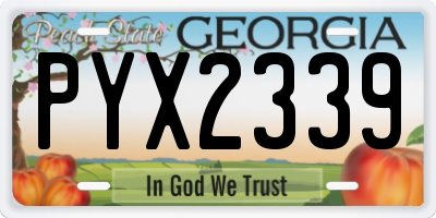 GA license plate PYX2339