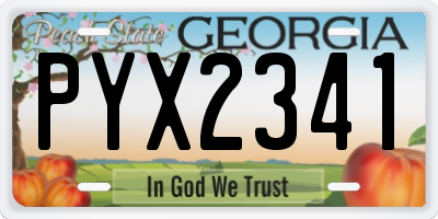 GA license plate PYX2341