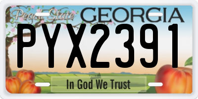 GA license plate PYX2391