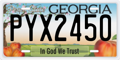 GA license plate PYX2450