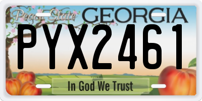 GA license plate PYX2461