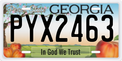 GA license plate PYX2463