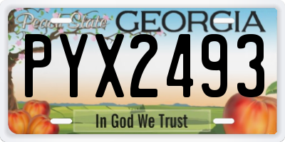GA license plate PYX2493