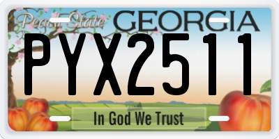 GA license plate PYX2511