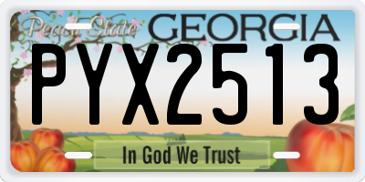 GA license plate PYX2513