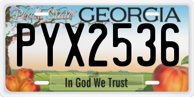 GA license plate PYX2536
