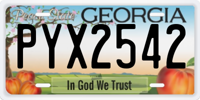 GA license plate PYX2542