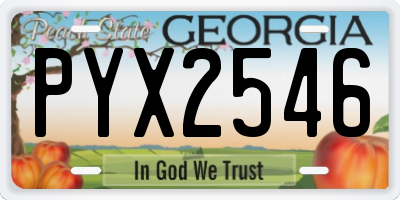 GA license plate PYX2546