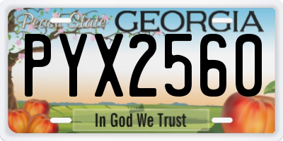 GA license plate PYX2560