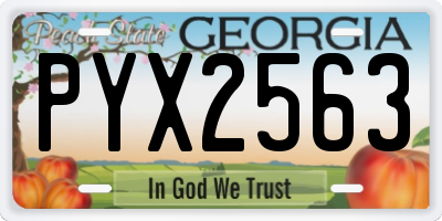 GA license plate PYX2563
