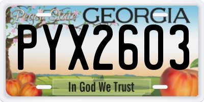 GA license plate PYX2603