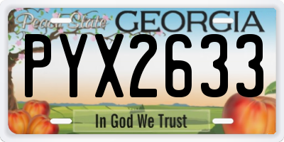 GA license plate PYX2633