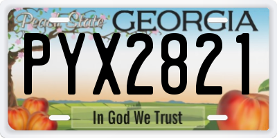GA license plate PYX2821