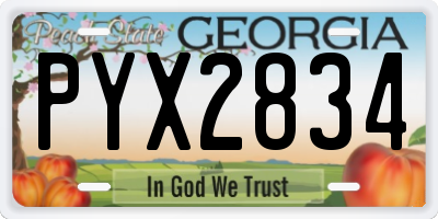 GA license plate PYX2834
