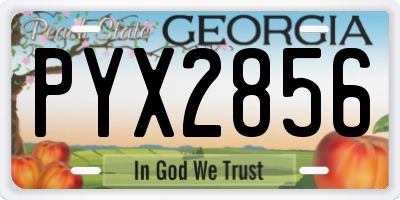 GA license plate PYX2856