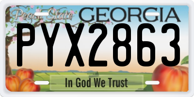 GA license plate PYX2863