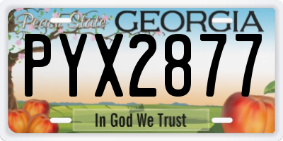GA license plate PYX2877