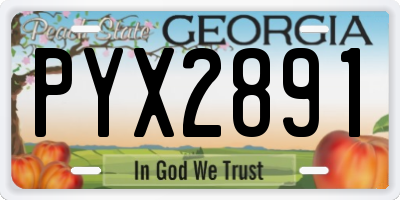 GA license plate PYX2891