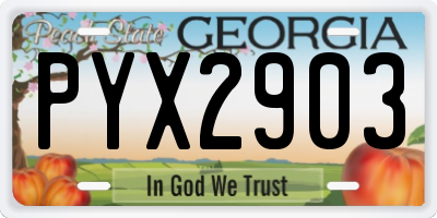 GA license plate PYX2903