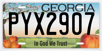 GA license plate PYX2907