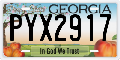 GA license plate PYX2917