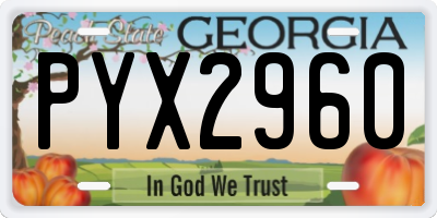 GA license plate PYX2960