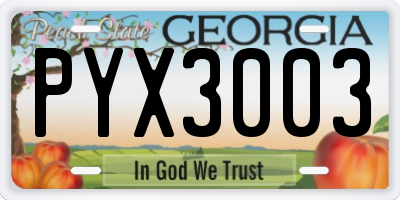 GA license plate PYX3003
